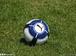 华谊兄弟王,忠军,王忠磊遭法,凤凰彩票,凤凰彩票官网,Phoenix,Lottery凤凰彩票官网,凤凰彩票官网玩家首选