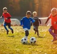 凤凰彩票,资讯,凤凰彩票官网,凤凰彩票,凤凰彩票官网,Phoenix,Lottery凤凰彩票官网,凤凰彩票官网玩家首选