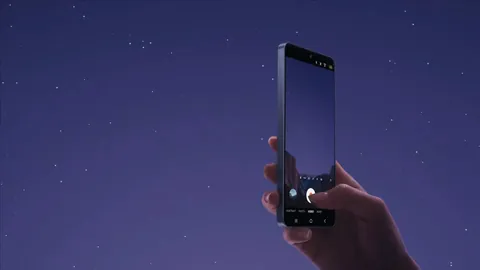 未曾露面于卡塔尔世界杯的队伍